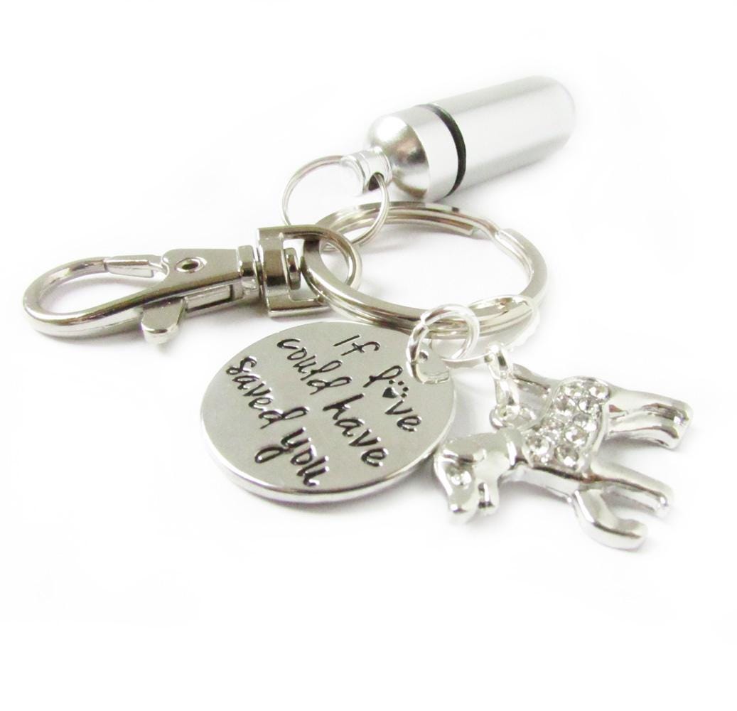 Pet ashes urn keychain with paw print charm and heartfelt quote, waterproof aluminum memorial keychain for dog lovers